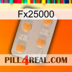 Fx25000 24